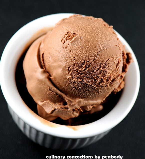 Chocolate Pudding Ice Cream