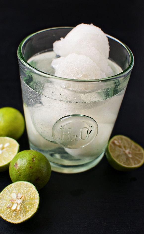 Key Lime Sorbet Tequila Cocktail