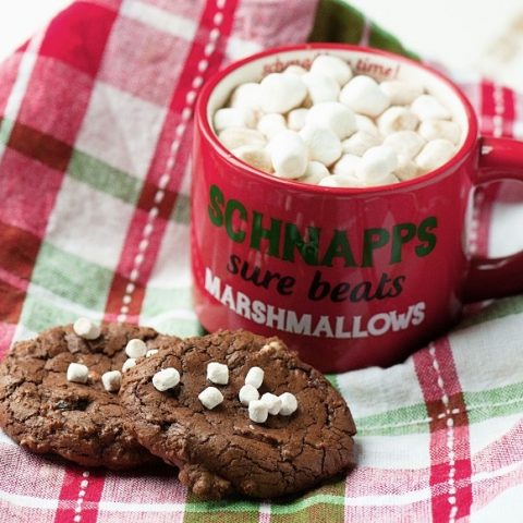 Hot Chocolate M&M Fudge Cookies