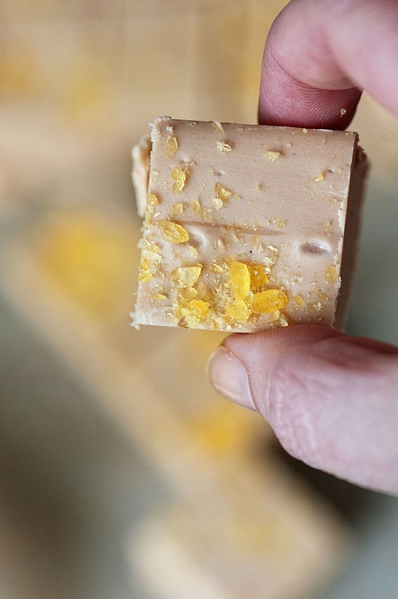 Hot Buttered Rum Fudge