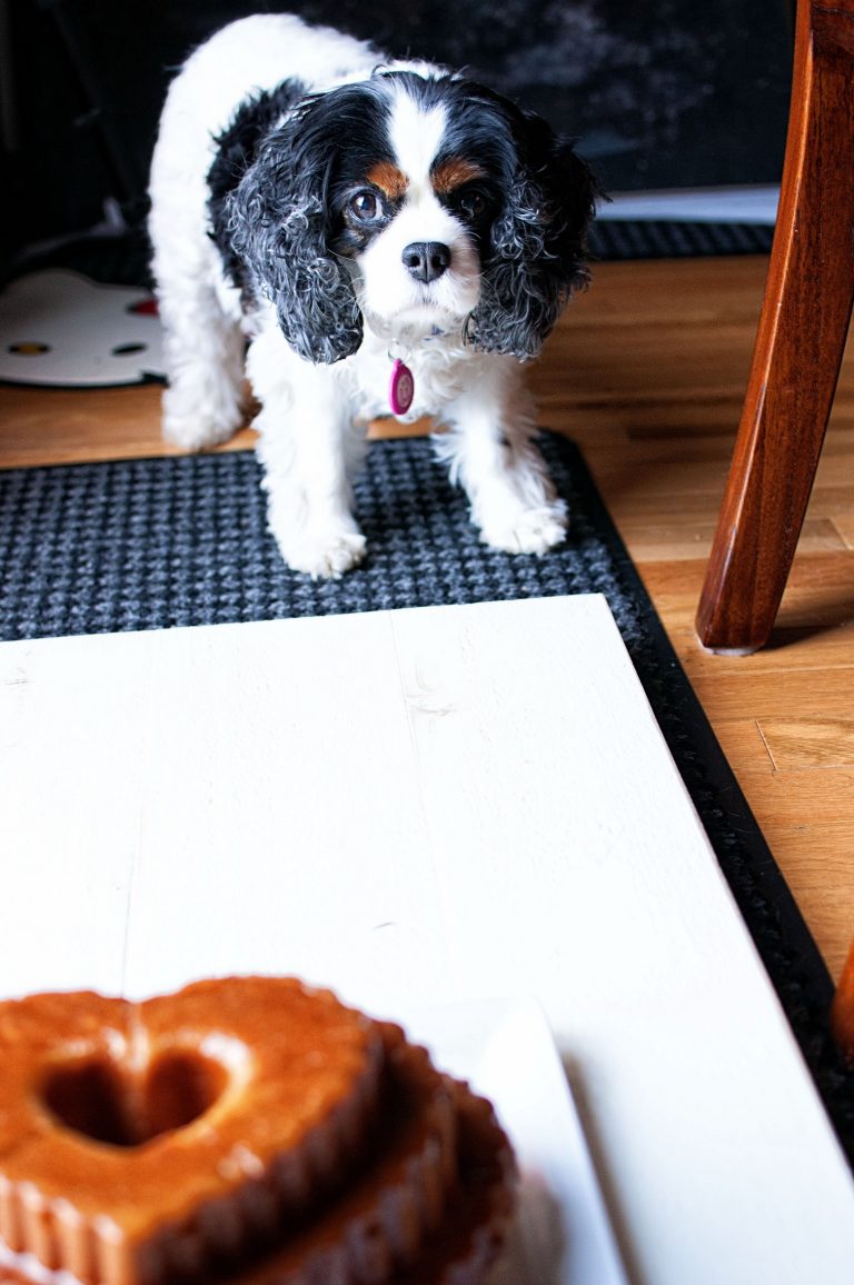 Bourbon Glazed Orange Nutmeg Pound Cake Sweet ReciPEAs