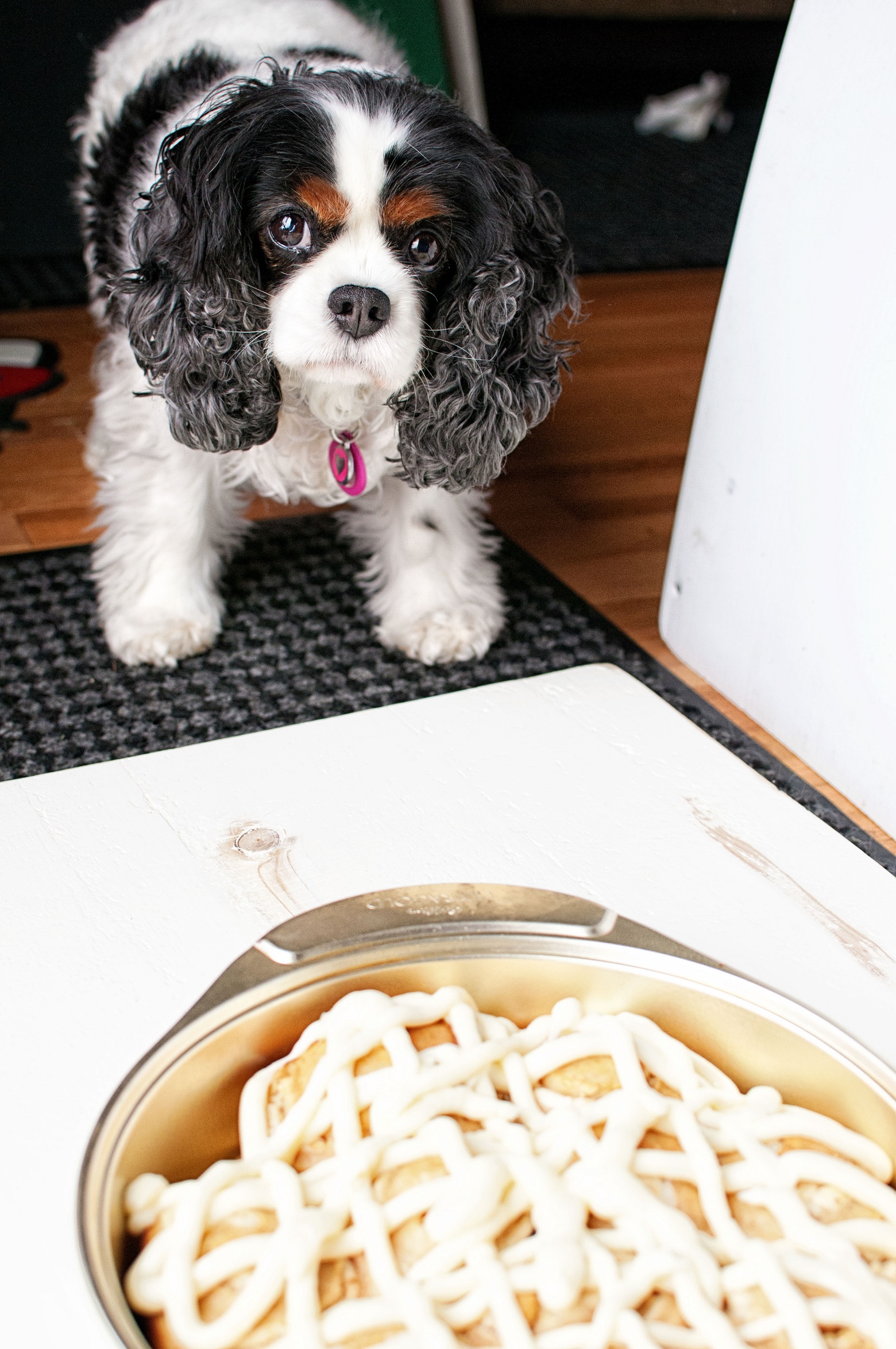 Crissy the kitchen helper.