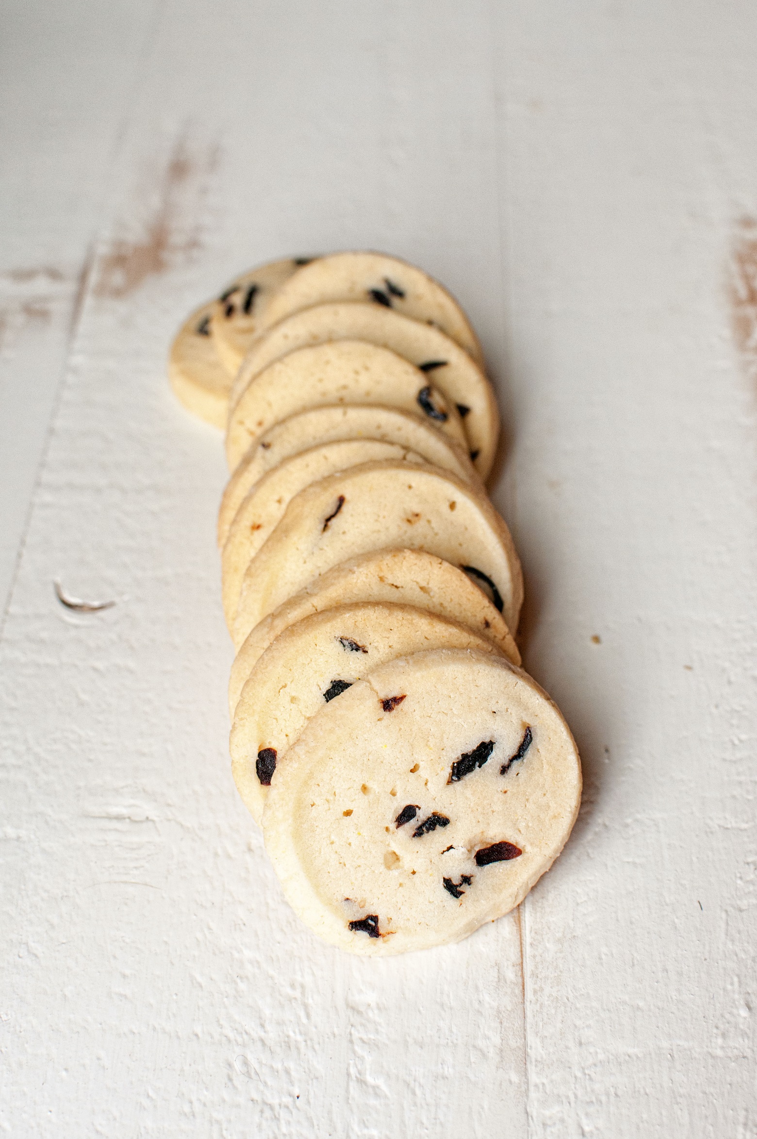 Orange Cranberry Shortbread Rounds in a row with the focus on the first cookie. 