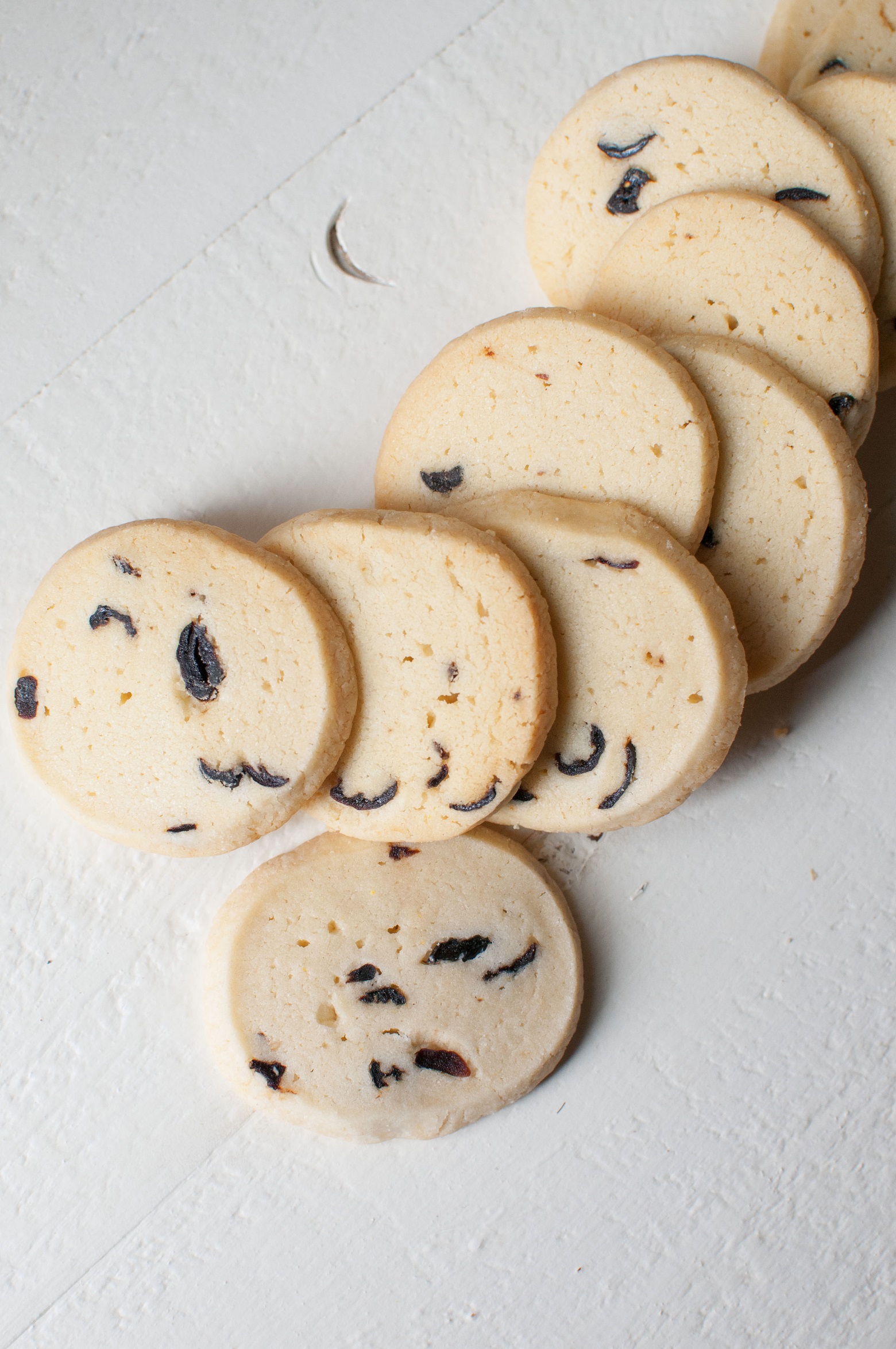 Overhead shot of the Orange Cranberry Shortbread Rounds fanned out. 