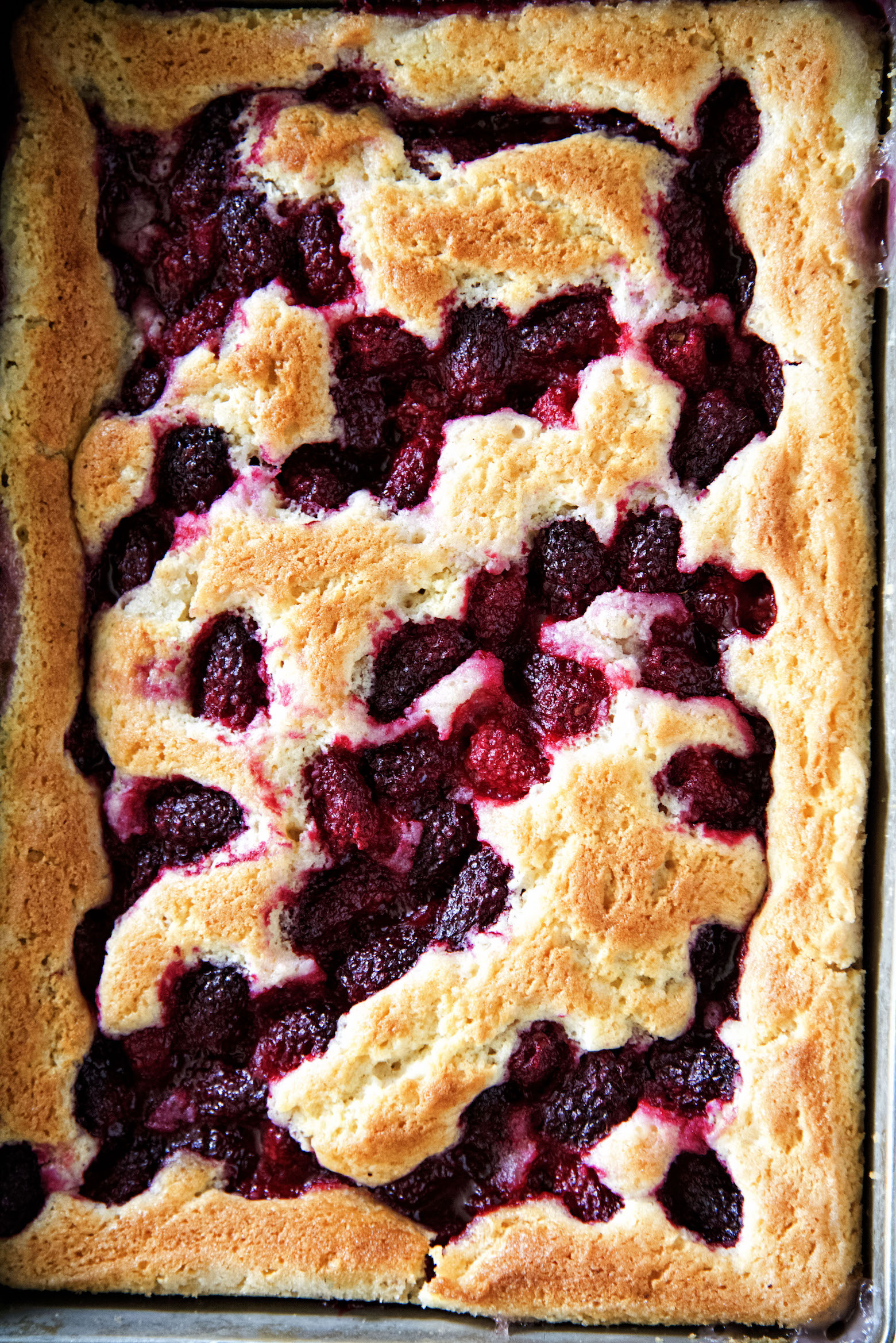 Overhead shot of the full Tayberry Cobbler