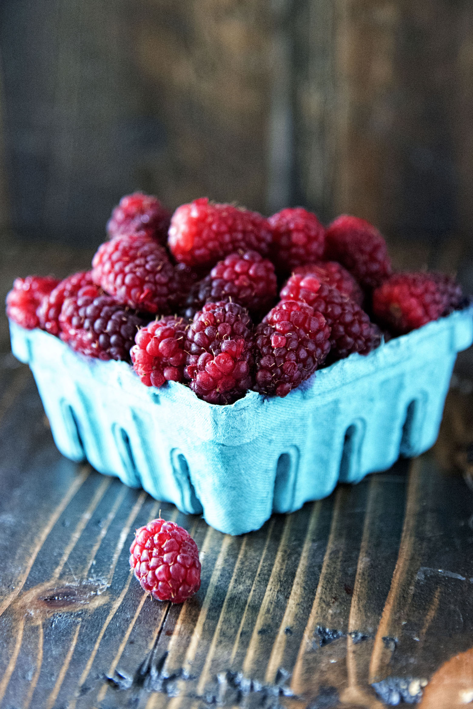 Basket of tayberries. 