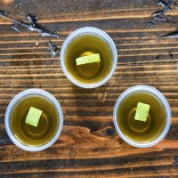 Fireball Apple Cider Jell-O Shots