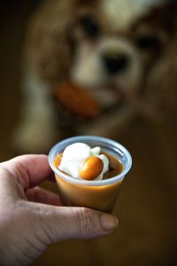Pumpkin Spice Latte Pudding Shot