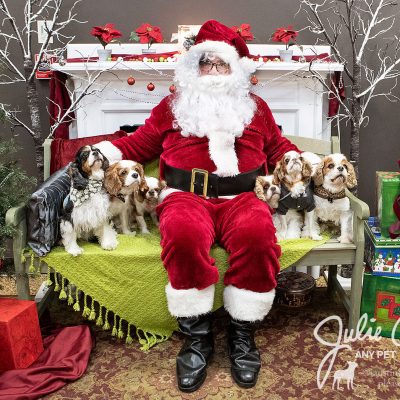 2018 Christmas Letter