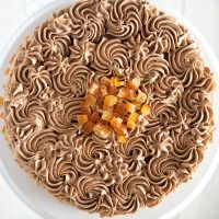 Chocolate Orange Frosted Vanilla Malted Cake