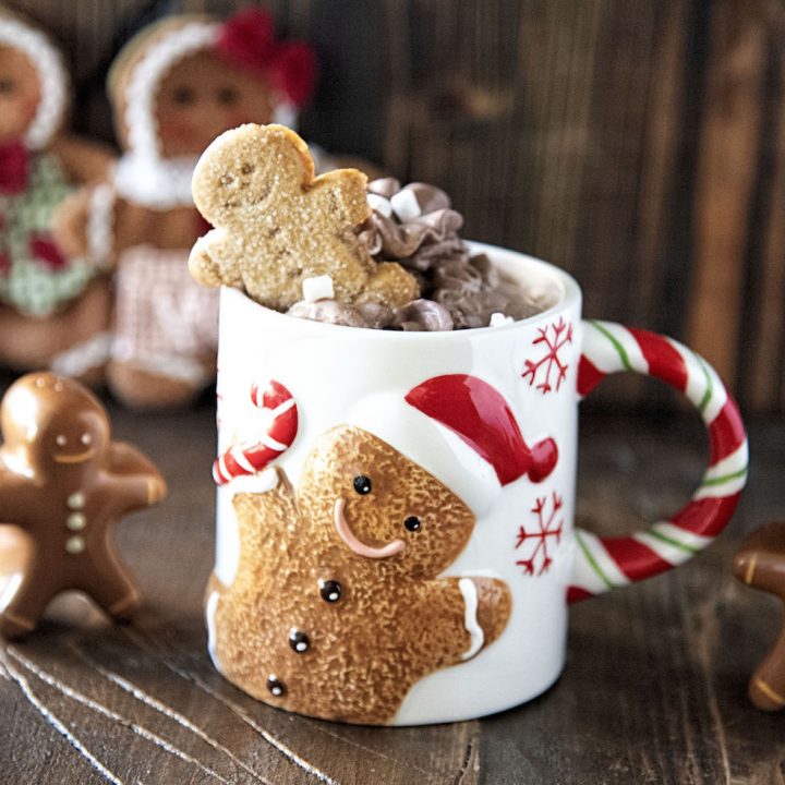 Spiked Gingerbread Hot Chocolate