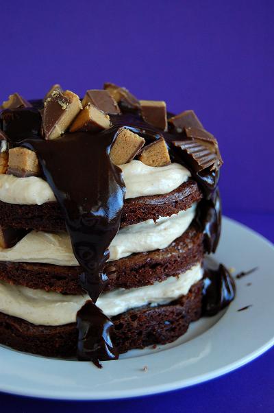 Peanut Butter Cup Brownie Torte