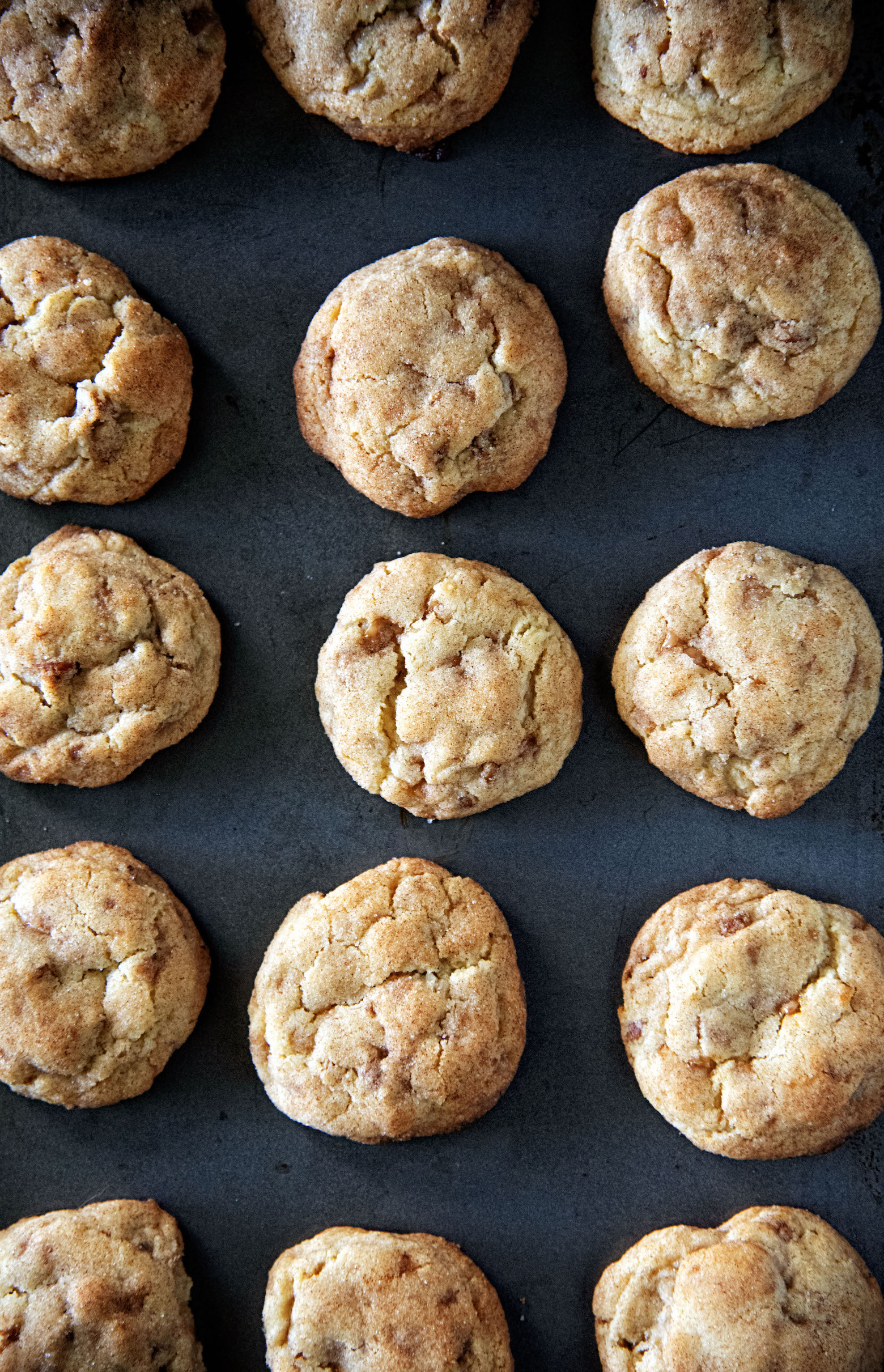 Apple Praline Snickerdoodles