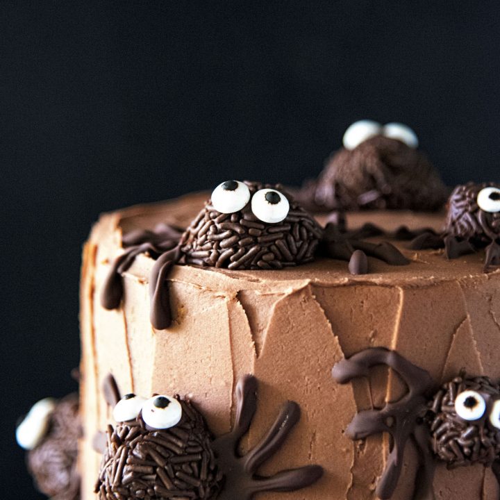 Chocolate Truffle Pumpkin Spider Cake