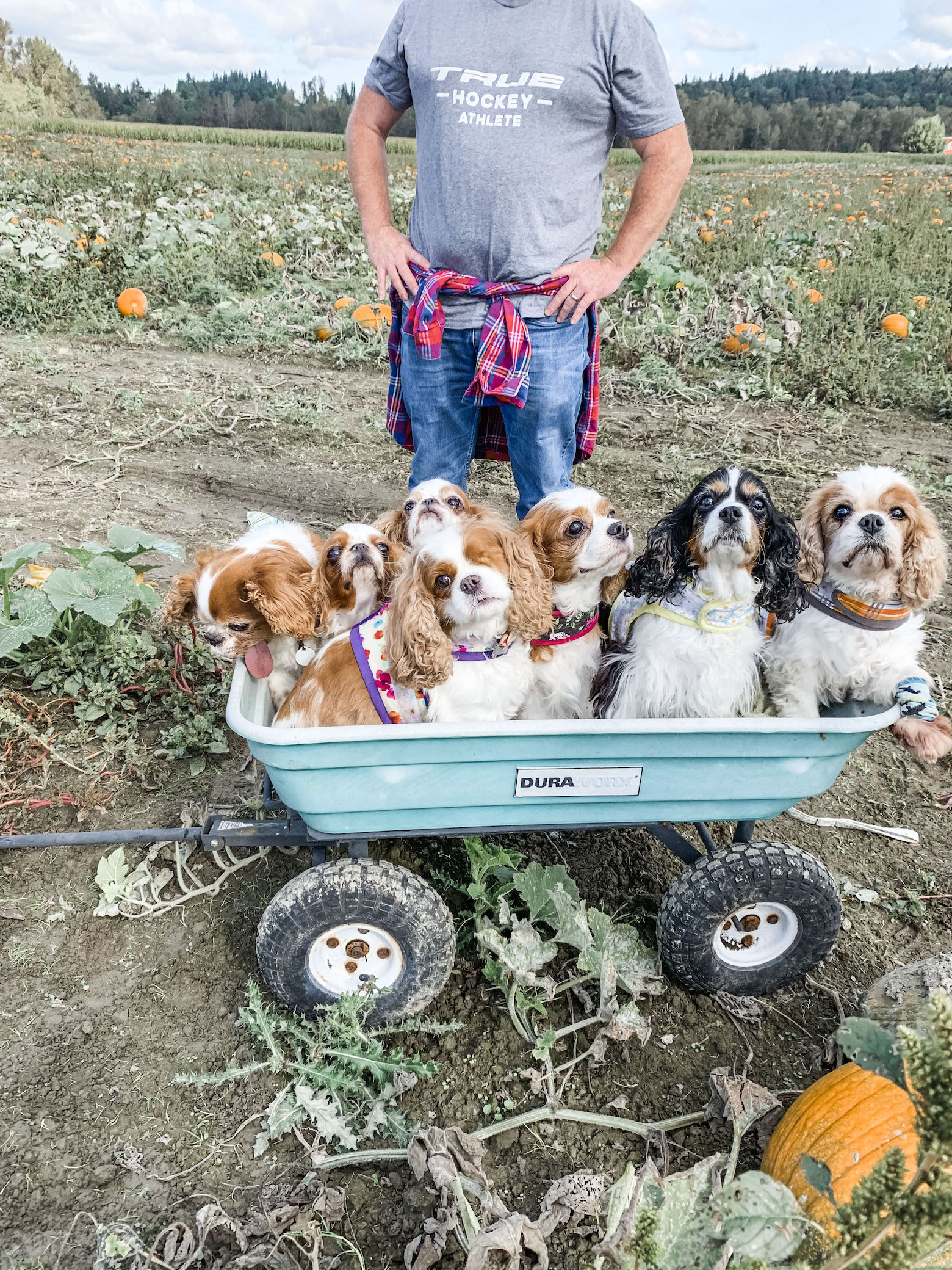 #PNW Spaniel Squad