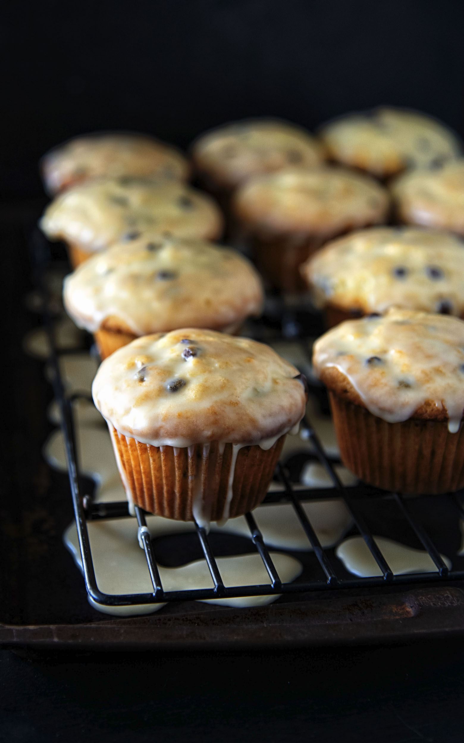 Clementine Chocolate Chip Muffins 