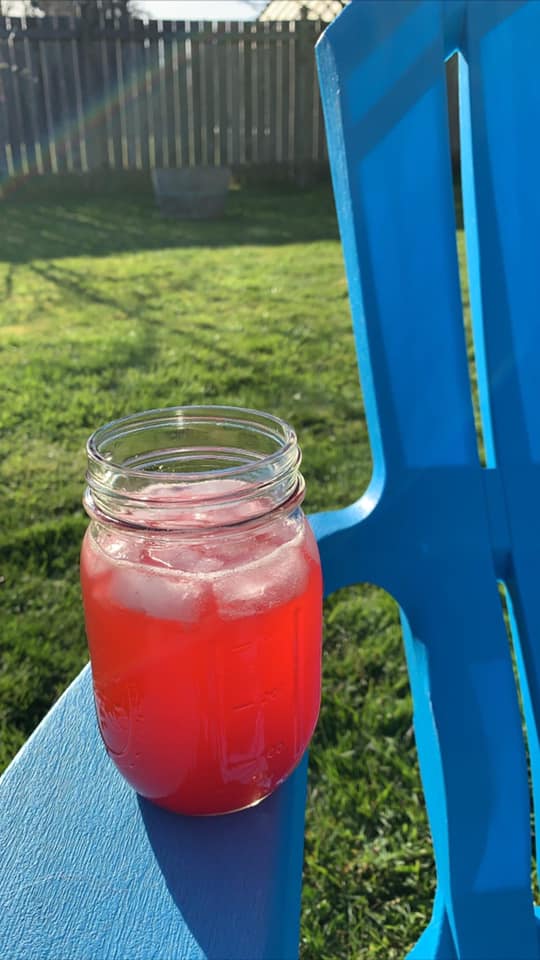 Fresh Plum Vanilla Bean Vodka Cocktail