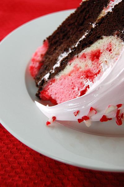 Chocolate Peppermint Stick Marshmallow Fantasy Cake 