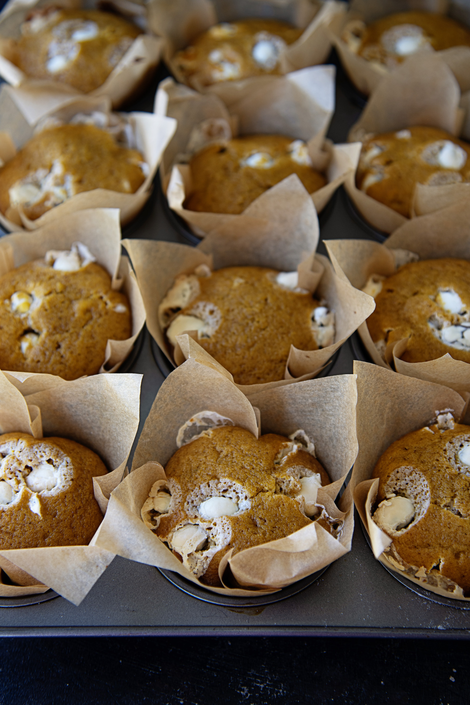 Pumpkin Spice Yogurt Raisin Muffins