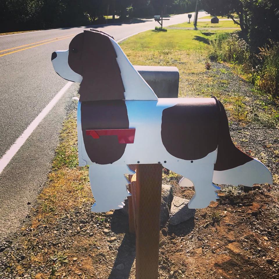 Spaniel Mailbox