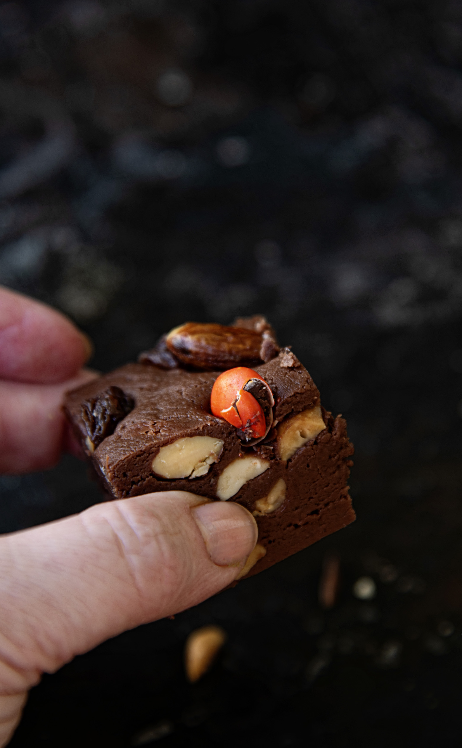 Trail Mix Fudge
