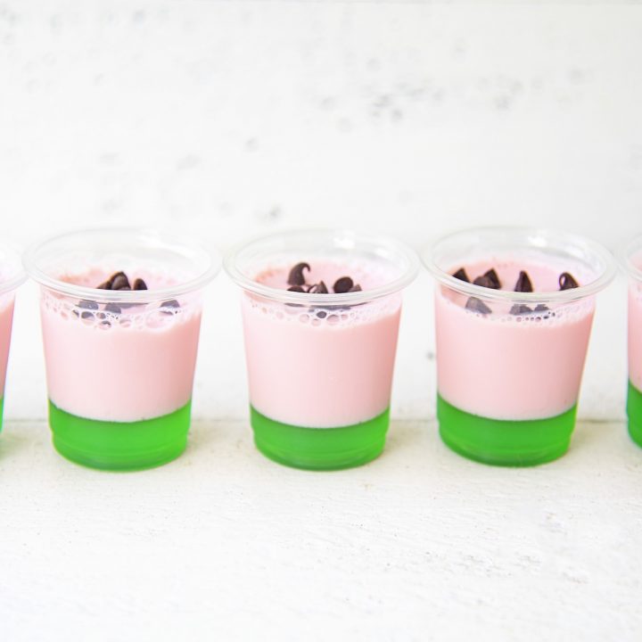 Watermelon Lime Jelly Shots