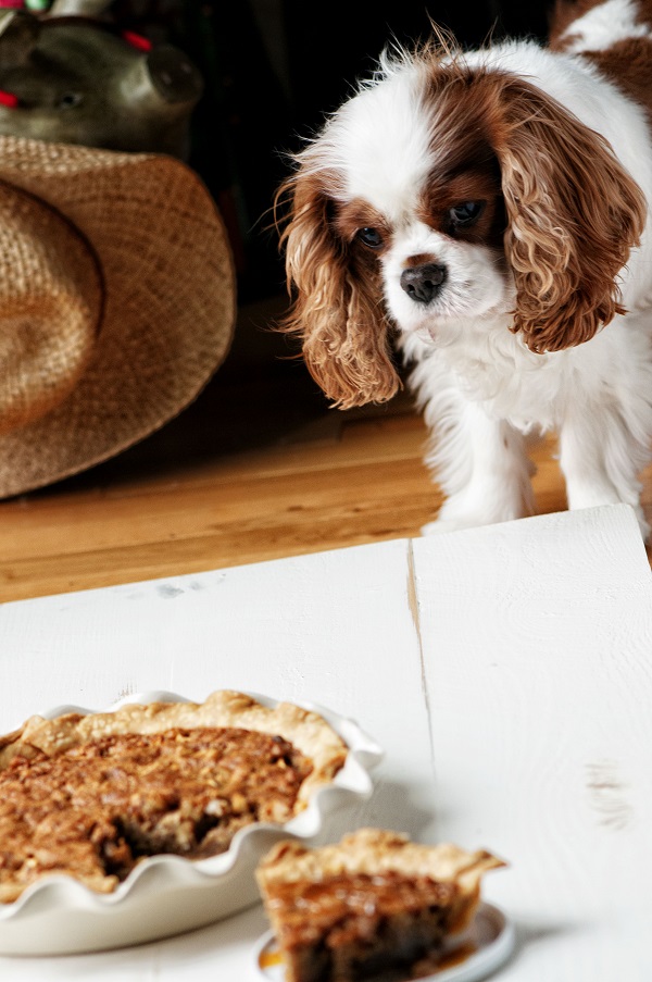 Butterscotch Apple Walnut Pie