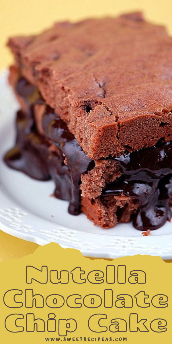 Nutella Chocolate Chip Cake