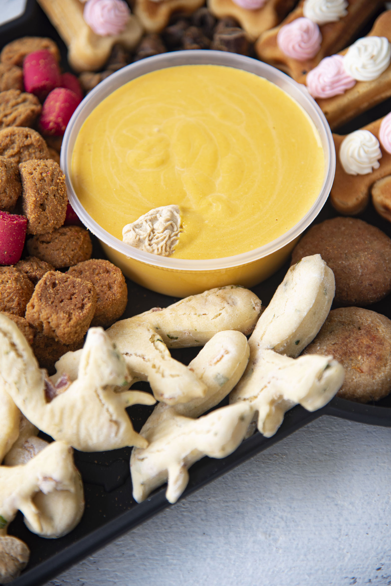 Dog Char-Treat-Erie Board Probiotic Pumpkin Dip