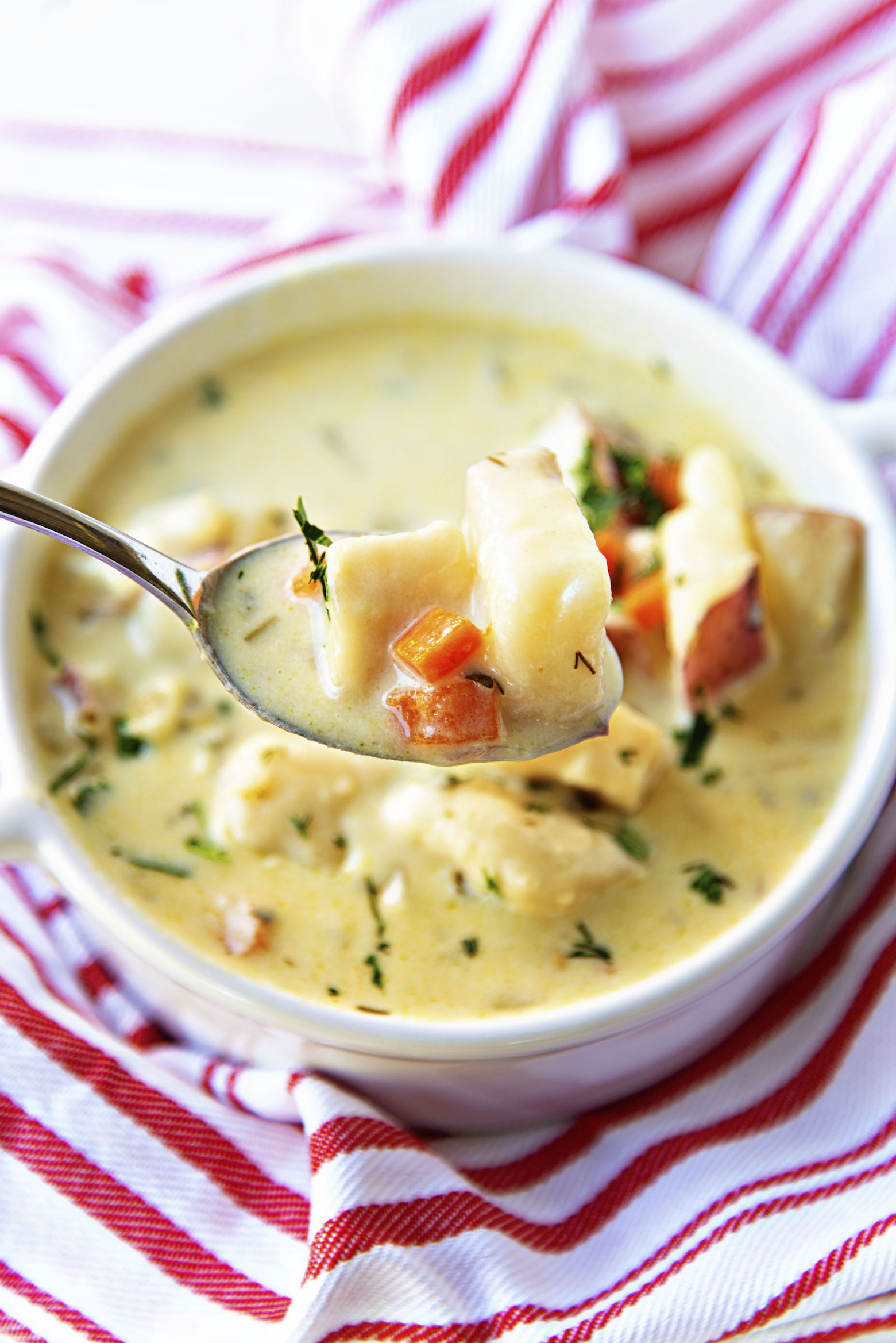 Vegetarian Parmesan Knoephla Soup with spoon close up