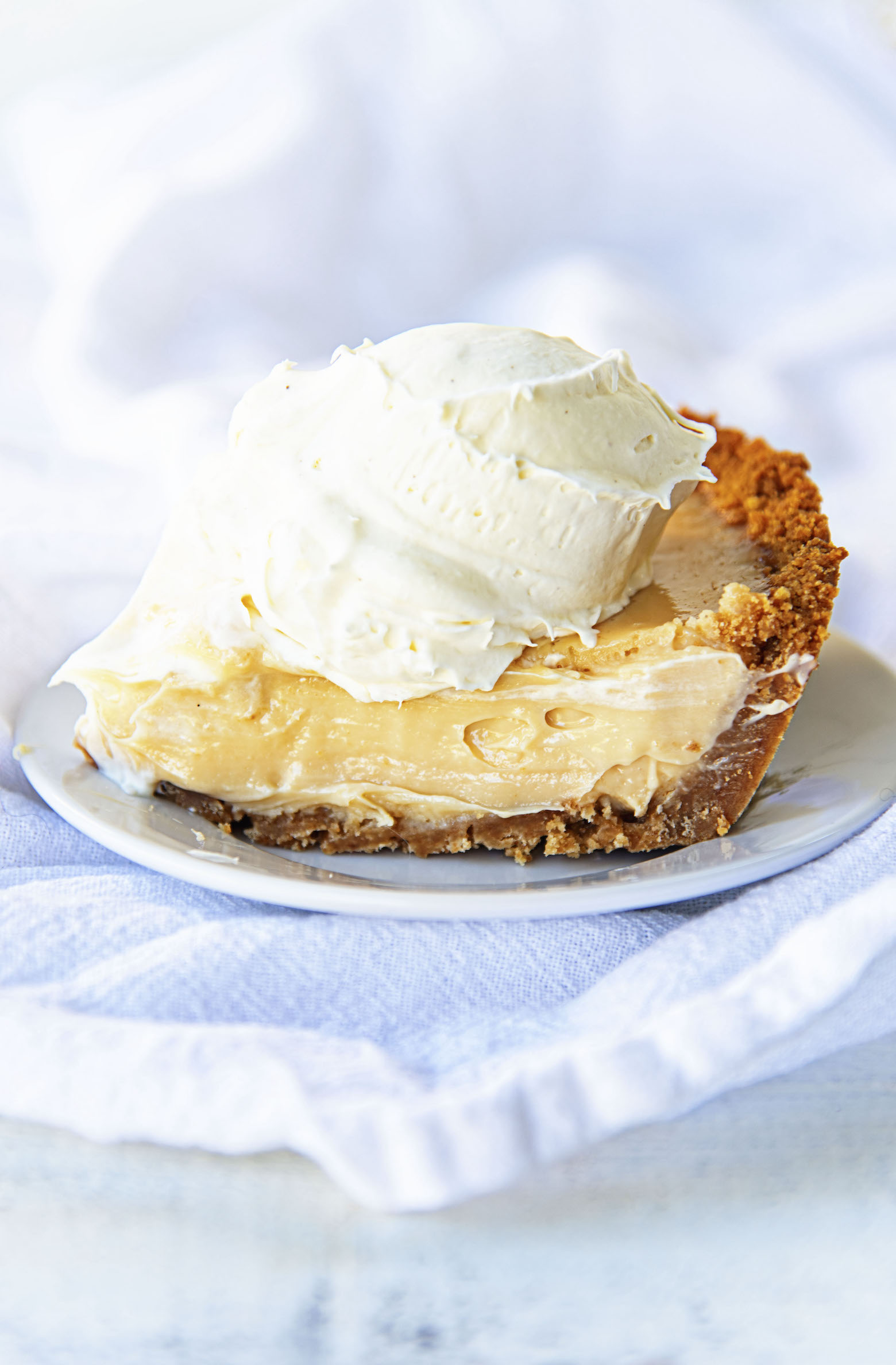 Slice of Key Lime Vanilla Ice Cream Pie