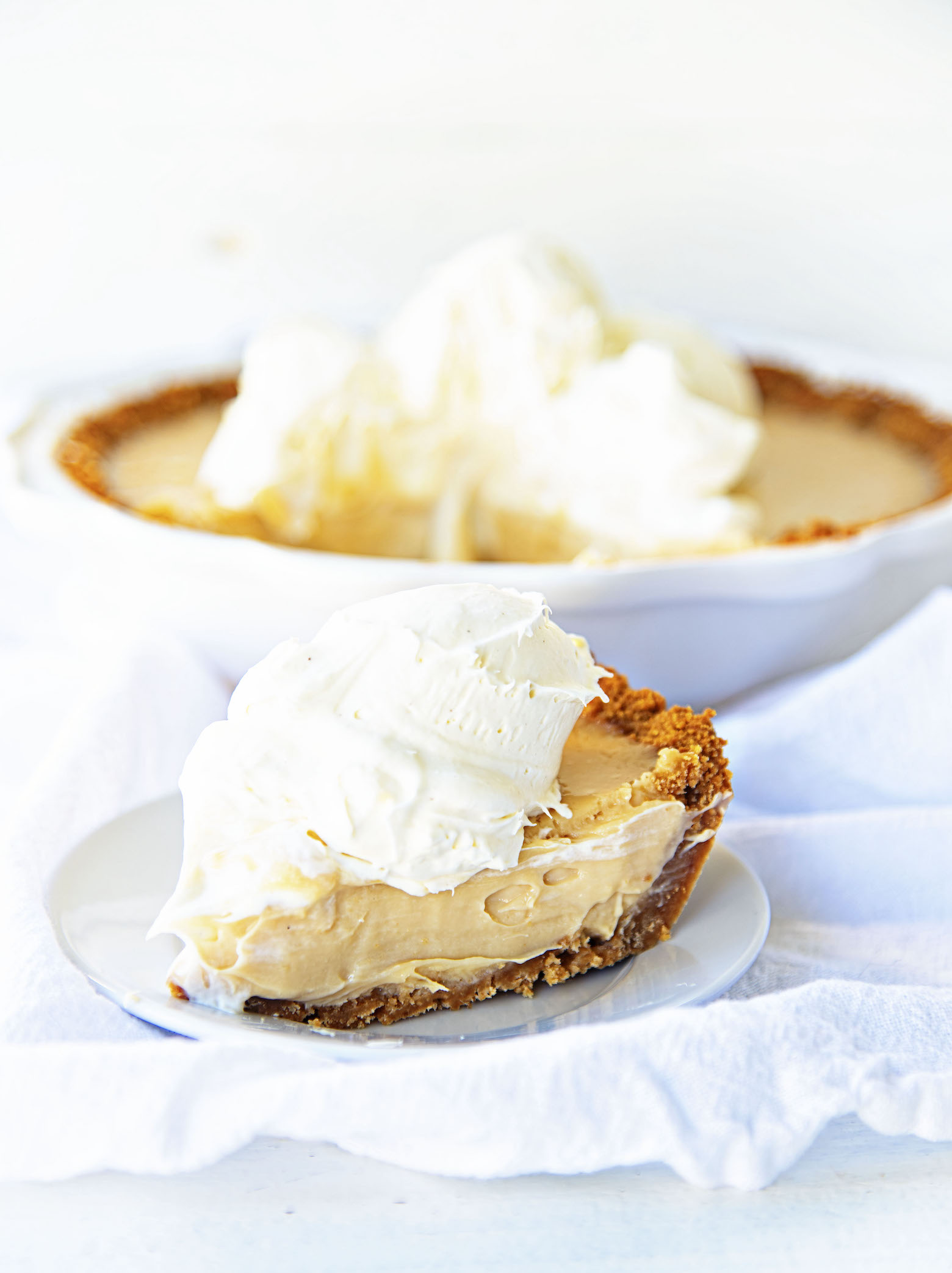 Slice of pie on a plate in front of the cut pie. 