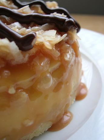 Close up of Samoas Cookie Cheesecake