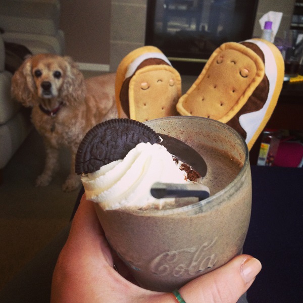 Thin Mint Oreo Baileys Irish Cream Milkshake with dog looking on