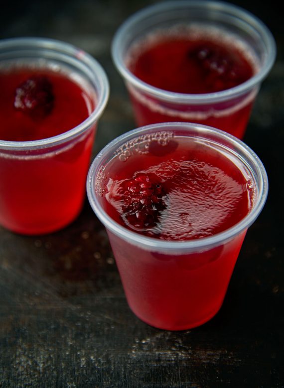 Fresh Berry Peach Jello Shots