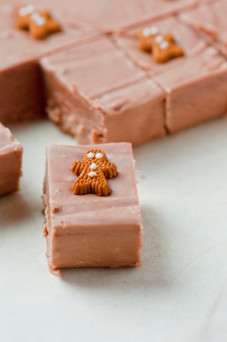 Close up shot of Gingerbread Kahlua Chocolate Fudge 