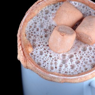 Snickerdoodle Hot Cocoa