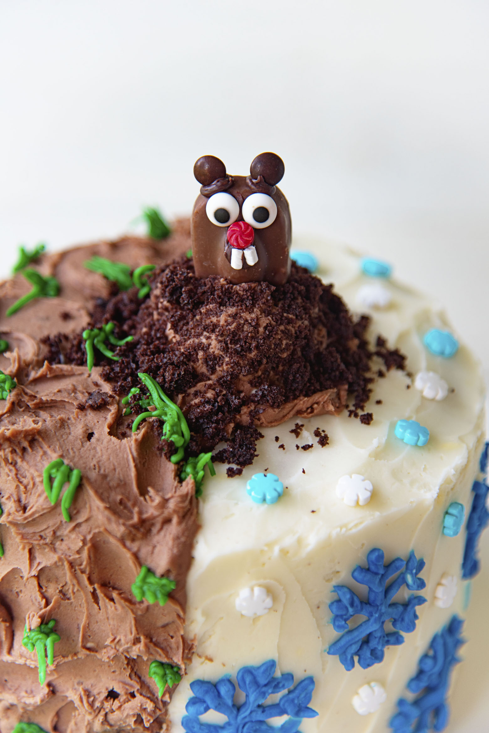 Three quarter shot of the candy groundhog in his mound on top of the cake. 