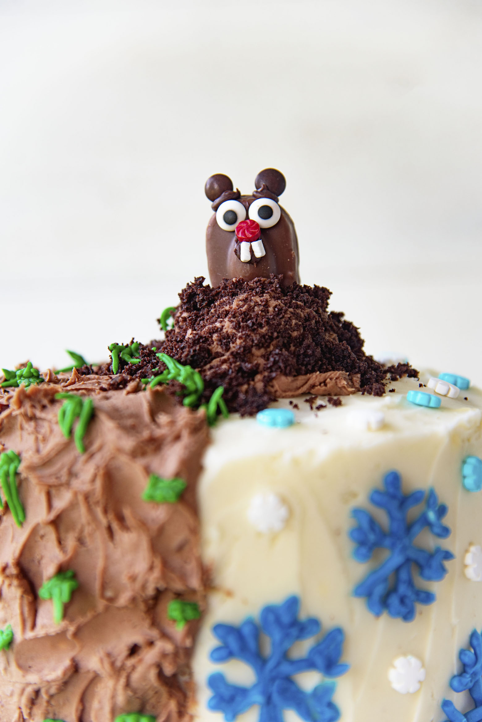 Close up of candy groundhog on frosting mound with the spring and winter side of the cake showing. 
