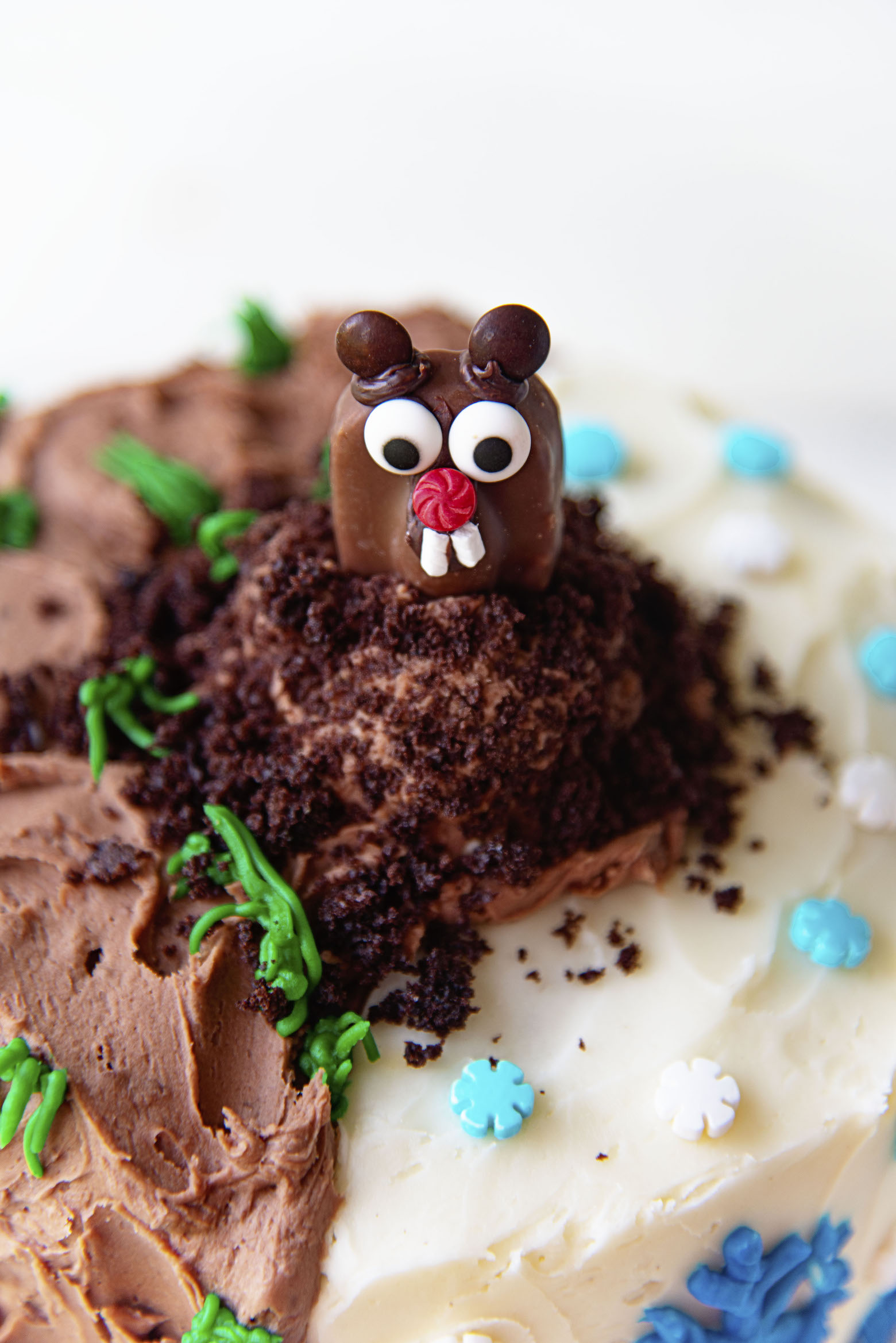 Close up of candy groundhog sitting atop the cake. 