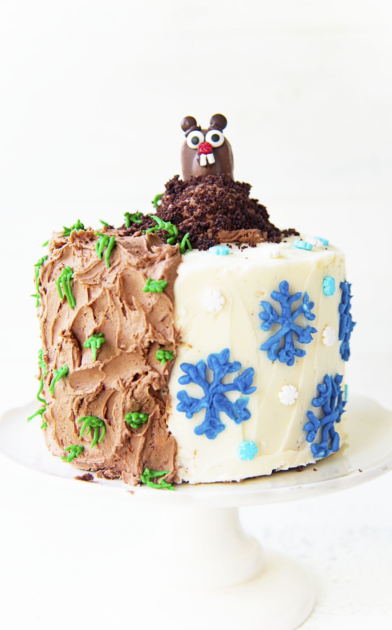 Side view of the whole Groundhog Day Layer Cake. 