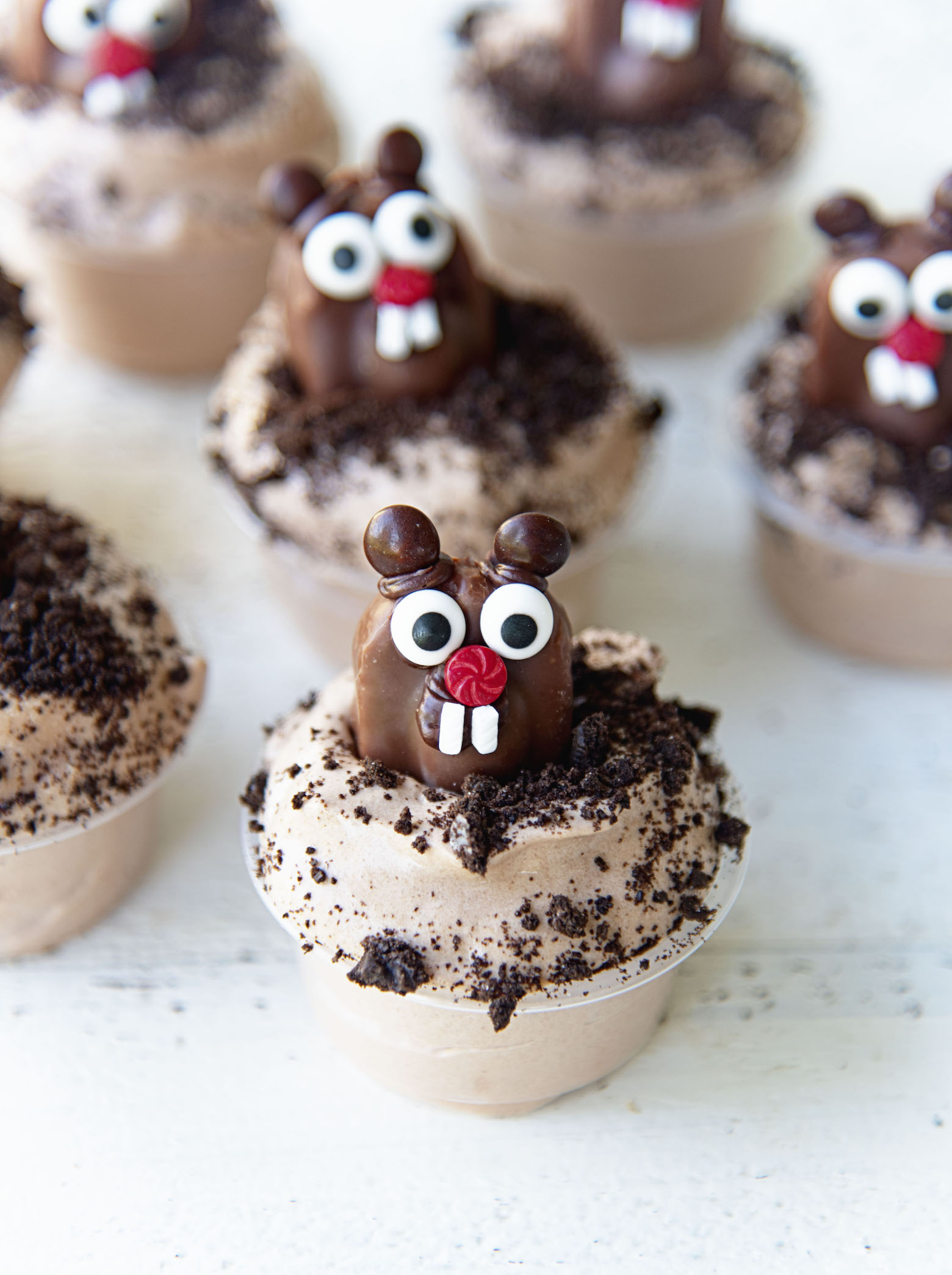 Three quarter shot of a bunch of Groundhog Day Pudding Shots