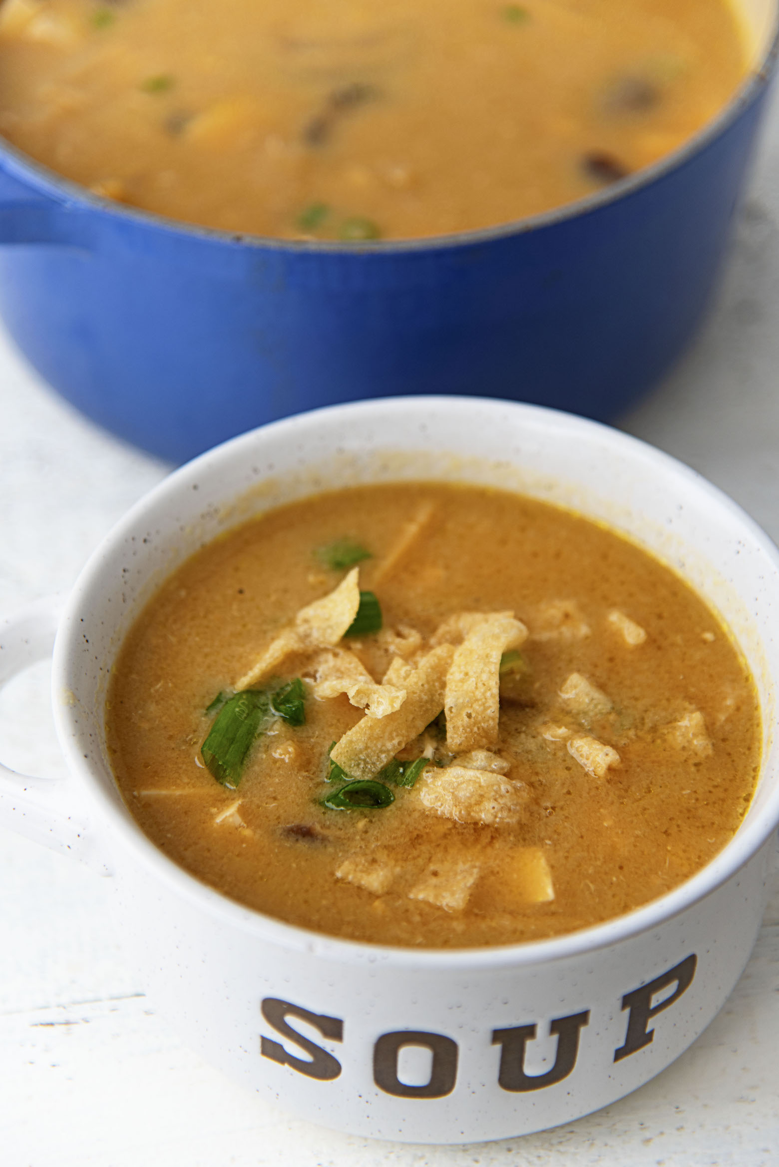 Three quarter shot of the soup in a bowl with the pot in the background. 