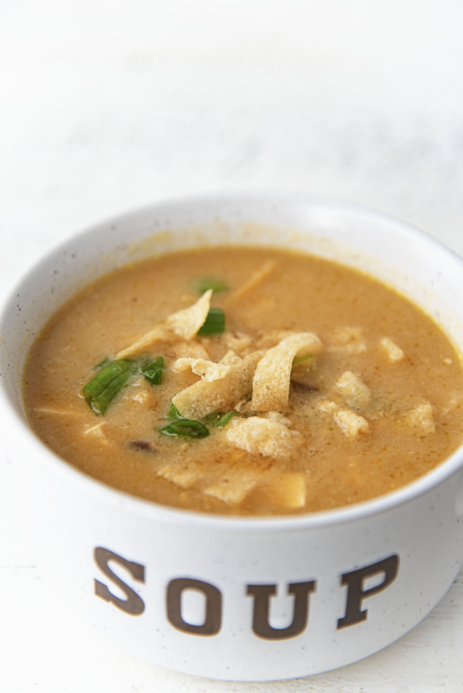 Side view of Vegetarian Hot and Sour Soup in a bowl. 