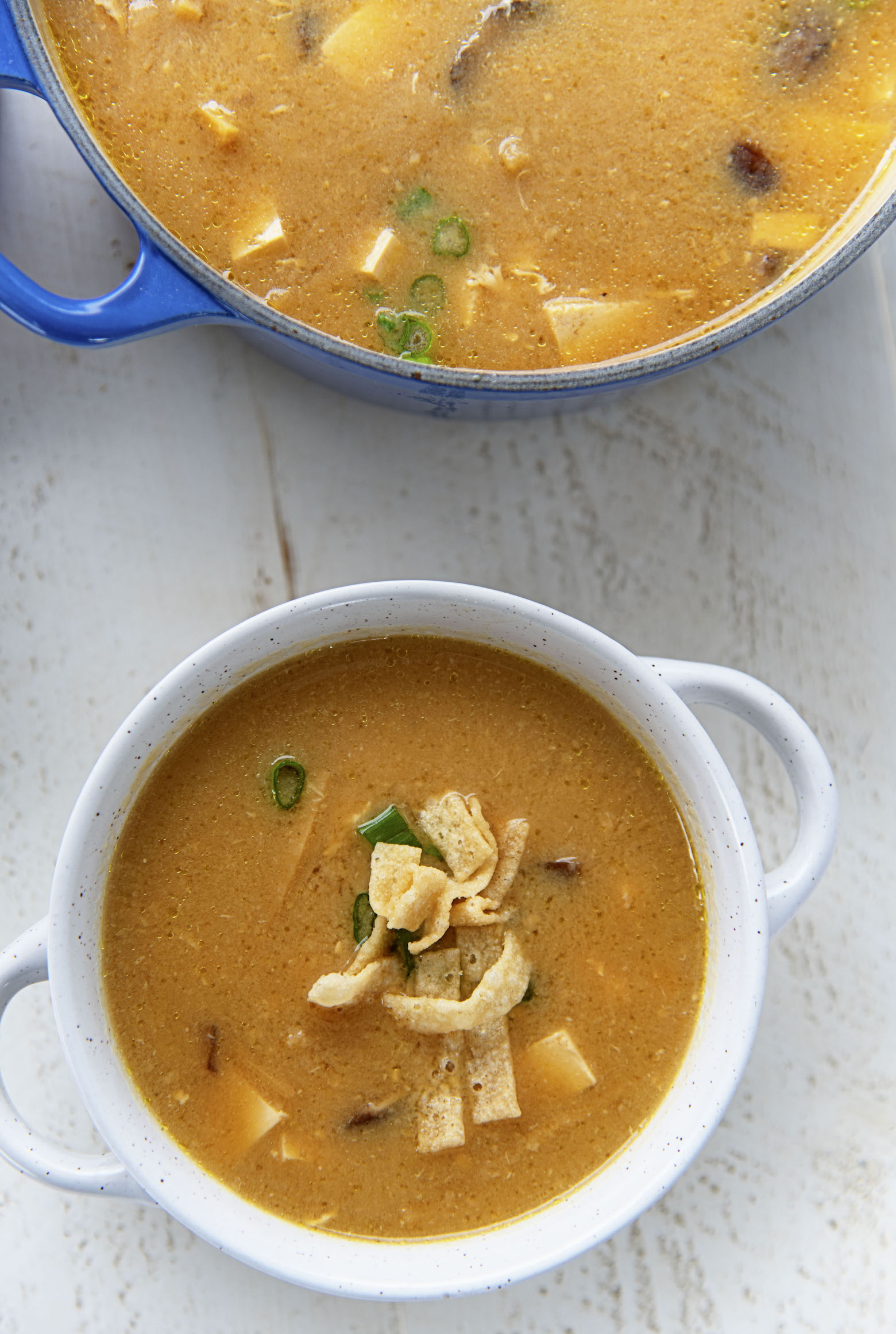 Overhead photos of a bowl of Vegetarian Hot and Sour Soup with a pot of the soup. 