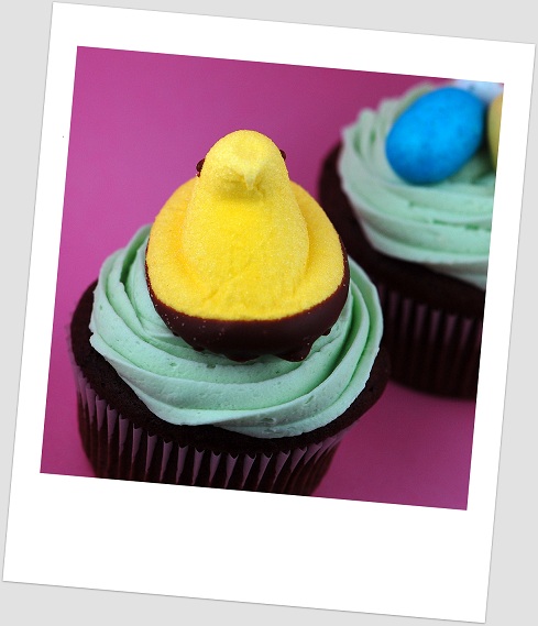 Polaroid of a Peeps Easter Chocolate Cupcake 