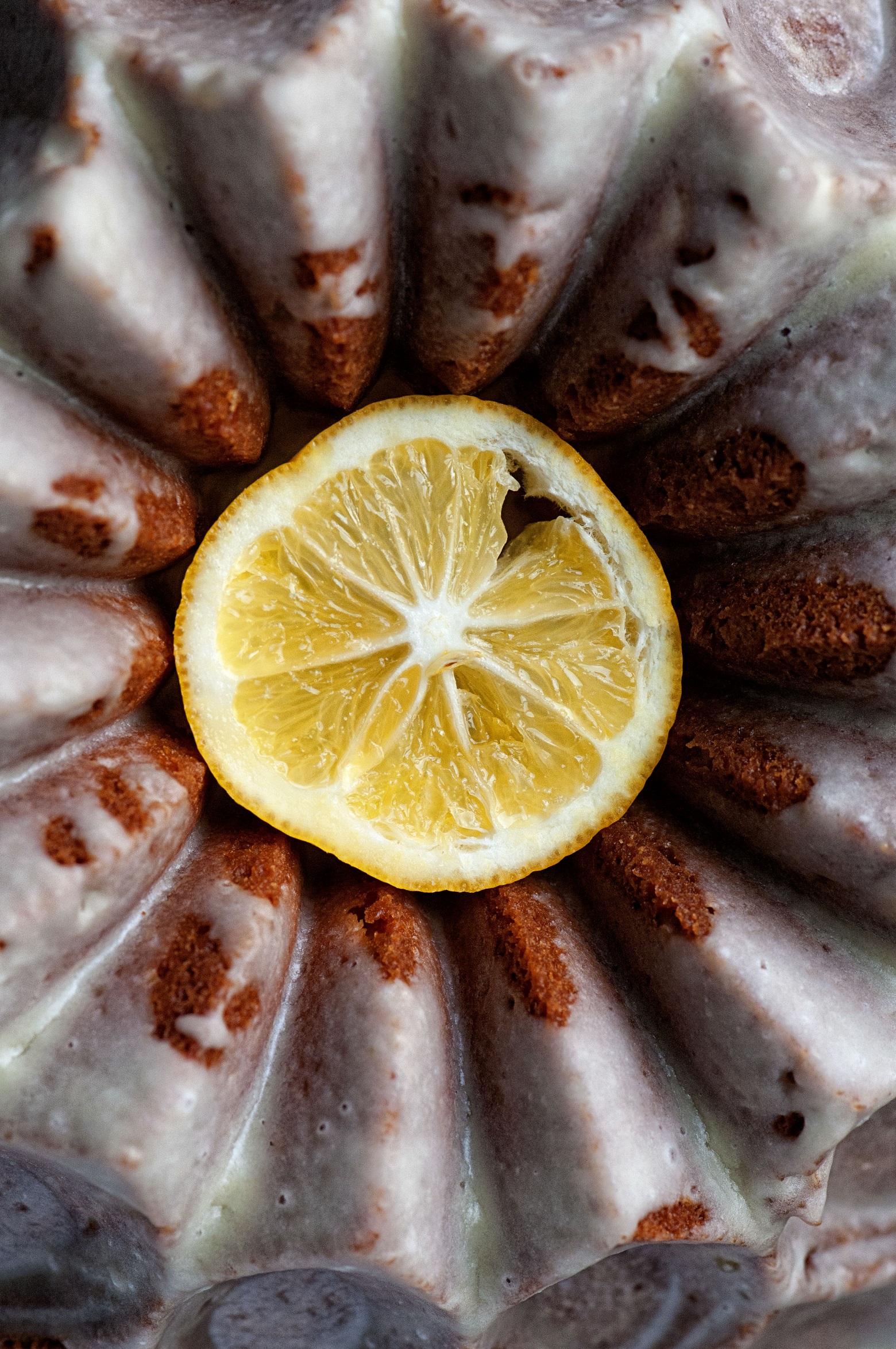 Close up of a lemon slice sitting in the middle of the cake.