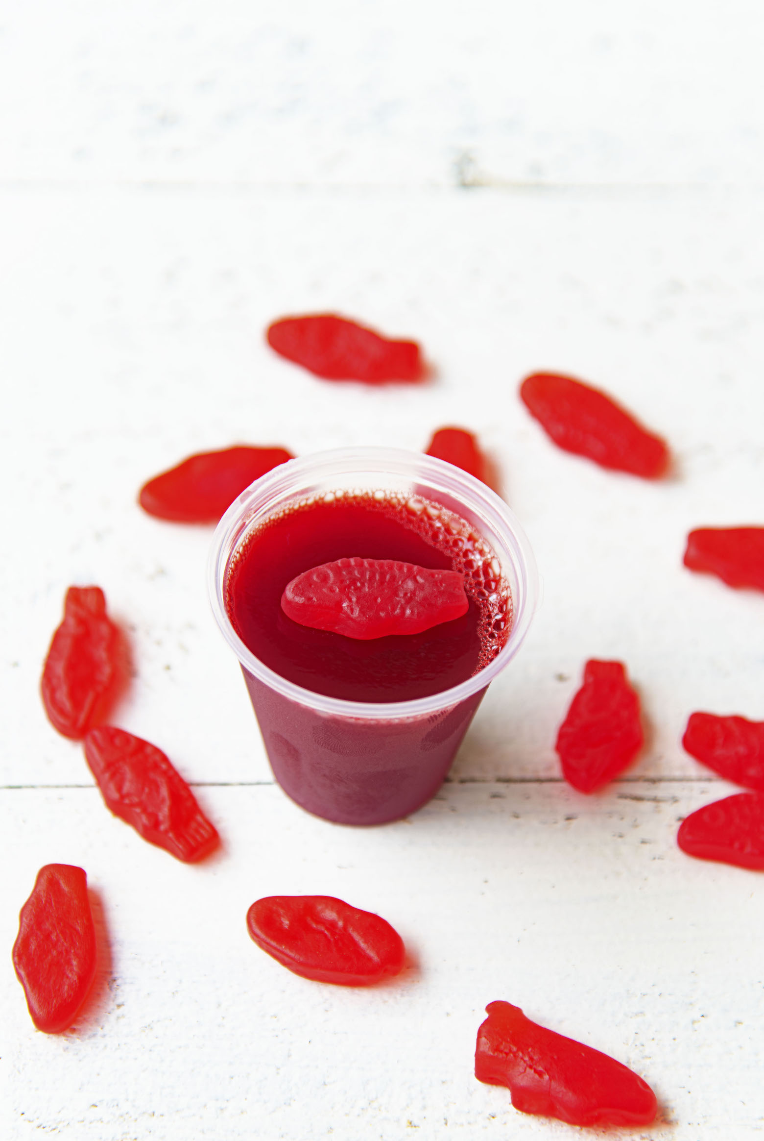 Single Swedish Fish Jello Shot with Swedish fish candy around it.
