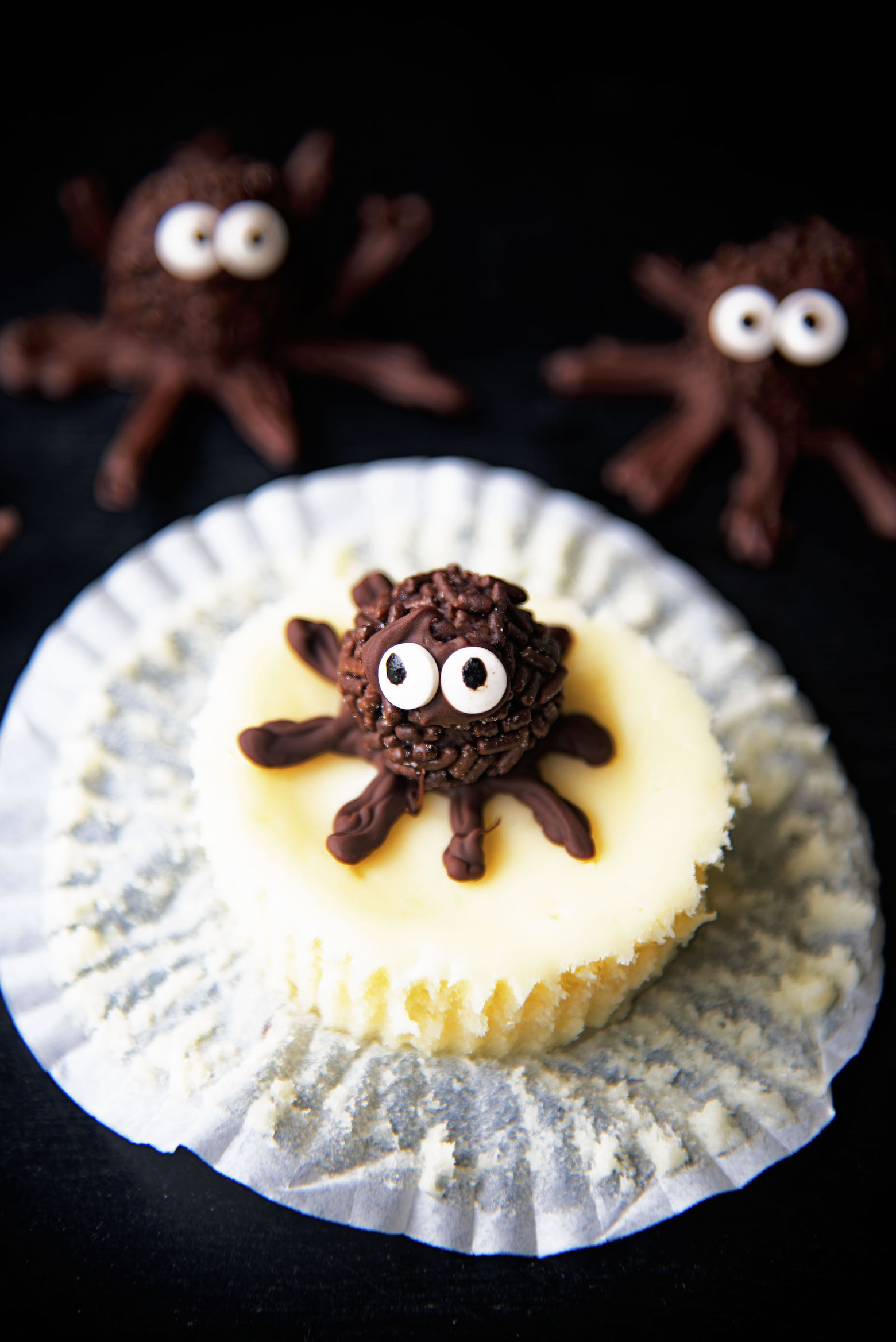 Close up of the chocolate truffle spider on a cheesecake bite