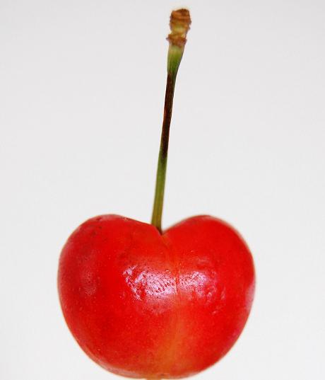 Close up of a single Rainier Cherry